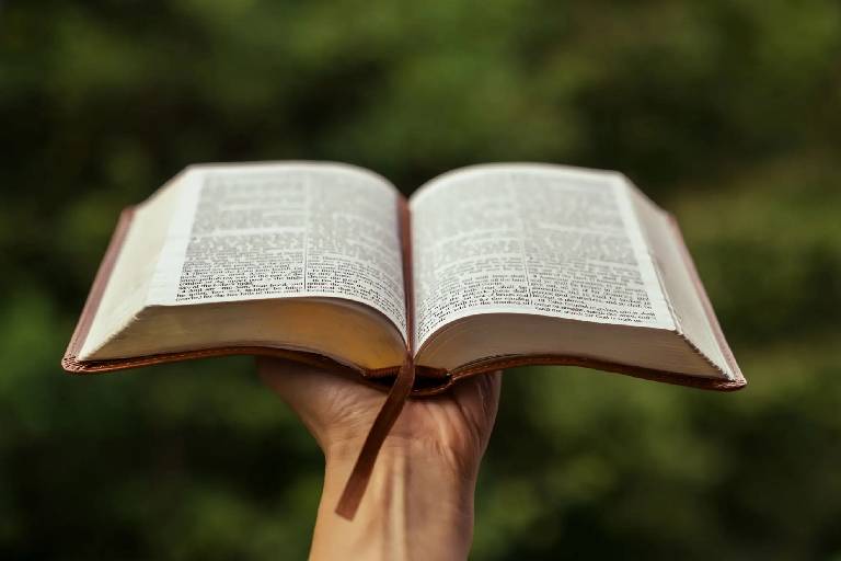 Hand holding an open book with blurred green background.